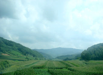 Similar image 22080589