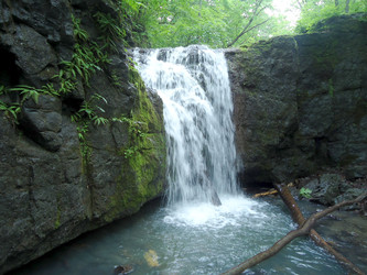 Similar image 22080134