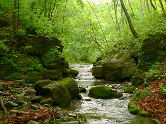 Similar image 22080135