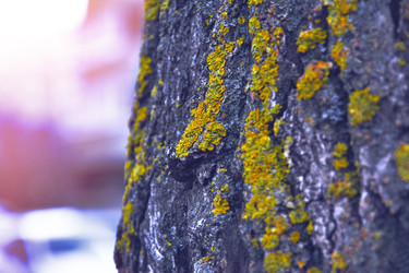 Similar image 22080137