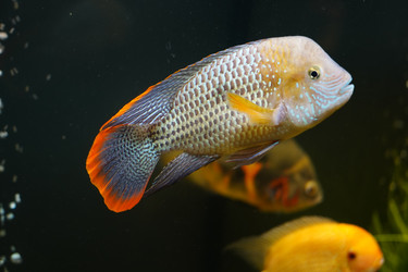 Similar image 22080590