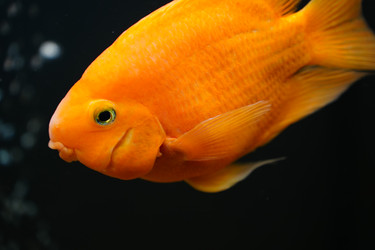 Similar image 22080592