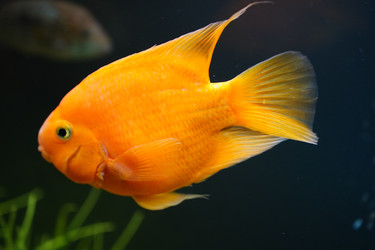 Similar image 22080593