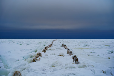 Similar image 22080596