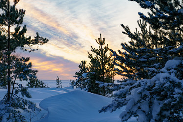 Similar image 22080601