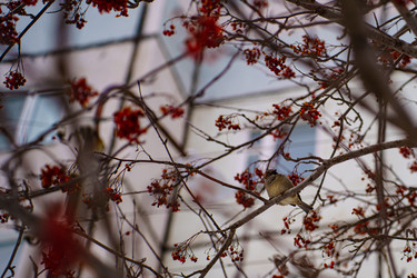 Similar image 22080603