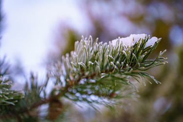 Similar image 22080604