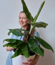 Similar image 22092507