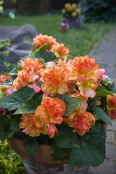 Similar image 22092508