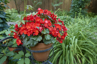 Similar image 22092510