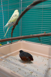 Similar image 22092515