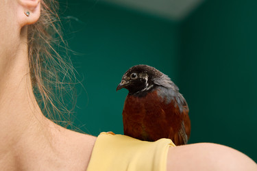 Similar image 22092518