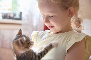 Similar image 22092523