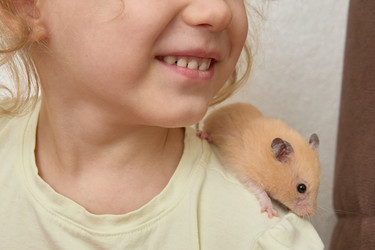 Similar image 22092525