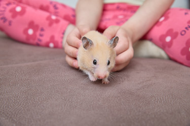 Similar image 22092527