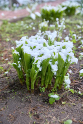 Similar image 22092528