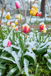 Similar image 22092529