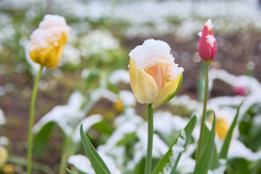 Similar image 22092531