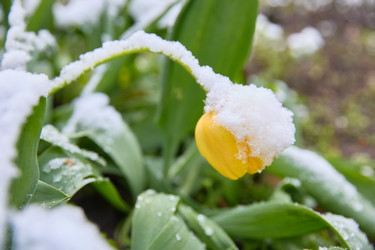 Similar image 22092532