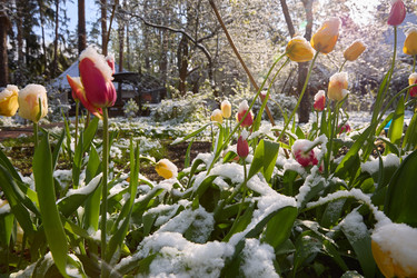 Similar image 22092533