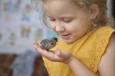 Similar image 22092536