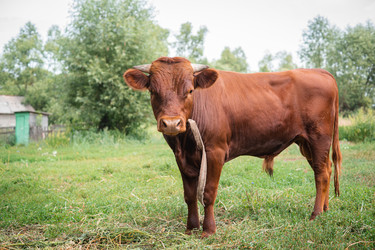 Similar image 22082179