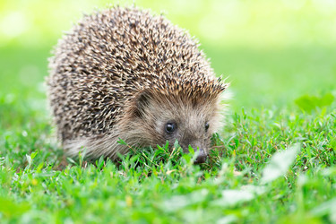 Similar image 22082184