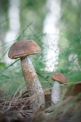 Similar image 22080253