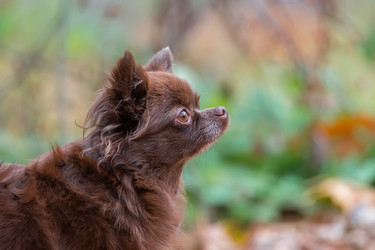 Similar image 22080256