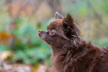 Similar image 22080258