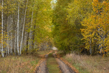 Similar image 22080263