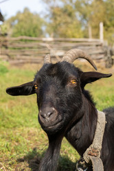 Similar image 22080269