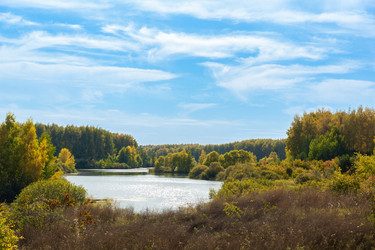 Similar image 22080270