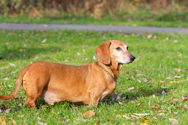 Similar image 22080384