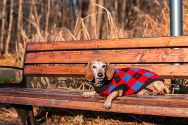 Similar image 22081551