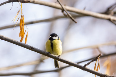 Similar image 22081877