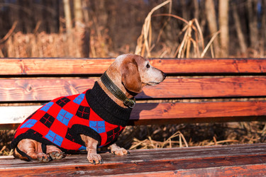 Similar image 22081880