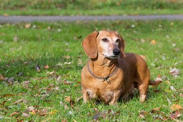 Similar image 22081882