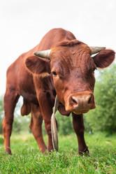 Similar image 22081885