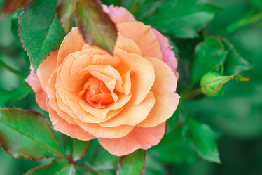 Similar image 22081890