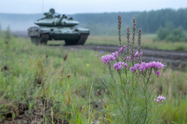 Similar image 22082198