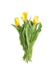 Similar image 22080286