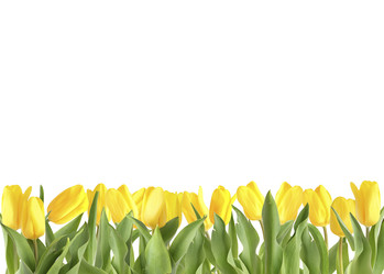 Similar image 22080287