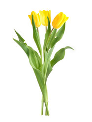 Similar image 22080288