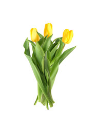 Similar image 22080289