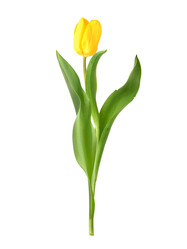 Similar image 22080290