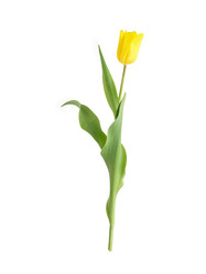 Similar image 22080292