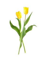 Similar image 22080294