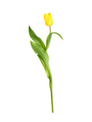 Similar image 22080297