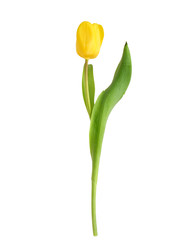 Similar image 22080298